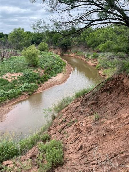 Tipton Ranch (10/11/2024 - Credits: John Cochran)
