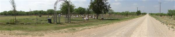 Trinity Lutheran Cemetery (1/27/2012)