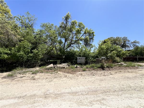 Lost Creek at Wimberley (3/4/2025 - Credits: Todd Nasca)