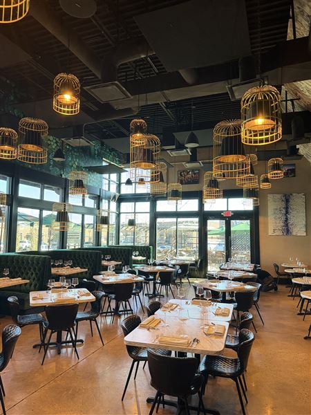 Savor Tapas Bar (5/25/2025 - Credits: Rory Schepisi)