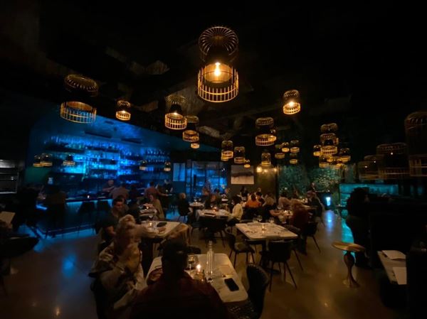 Savor Tapas Bar (5/25/2025 - Credits: Rory Schepisi)