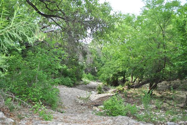 Phil Hardberger Park (4/7/2012)