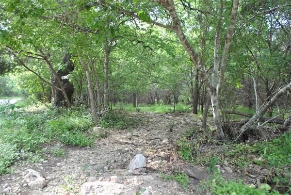 Phil Hardberger Park (4/7/2012)
