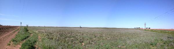 Oil Pump Jacks off Hwy 385 (5/3/2004)