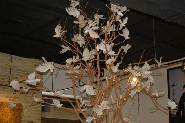 Paloma Blanca (4/3/2012)