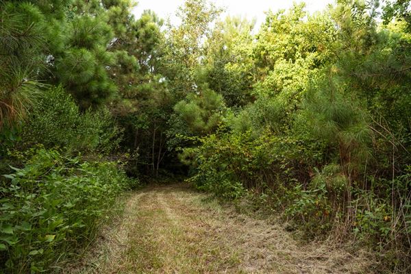 The Oaks of Anahuac (8/8/2025 - Credits: Jeff Fitlow Photography)