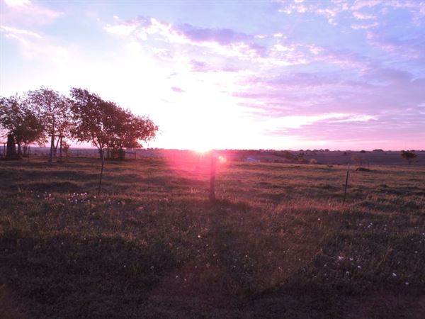 Maeshill Farm (11/25/2025 - Credits: Ann Campbell)