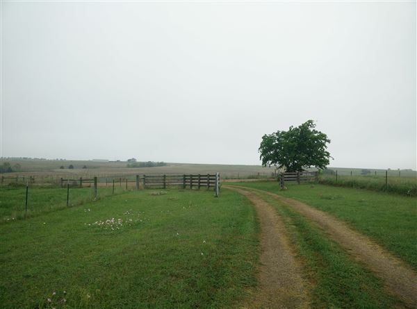 Maeshill Farm (11/25/2025 - Credits: Ann Campbell)
