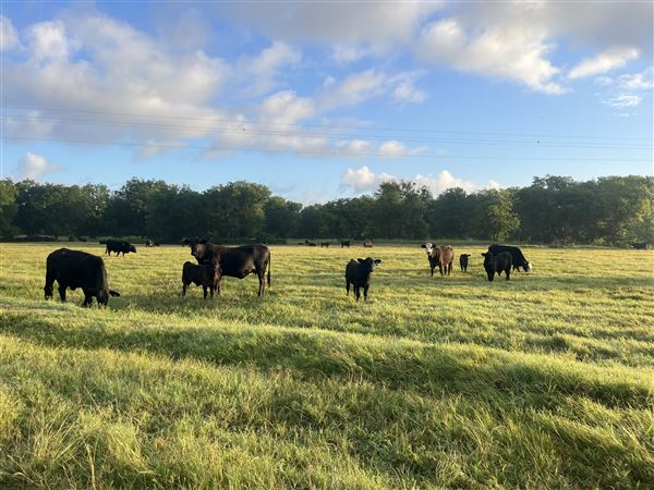 Evans Ranch (9/20/2024 - Credits: submitted by: kate evans)