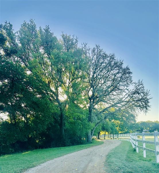 Sky Creek Farm (3/22/2026 - Credits: Quincy DeSpain)