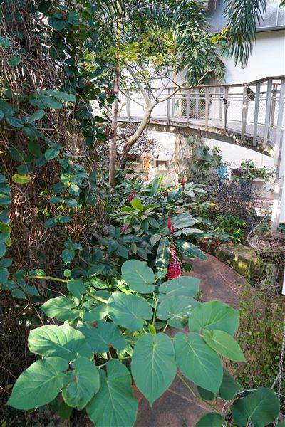 Texas Discovery Gardens (2/5/2026 - Credits: Austin Flores)