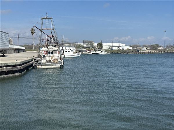 Port Lavaca City Harbor (3/1/2026 - Credits: Tania French)