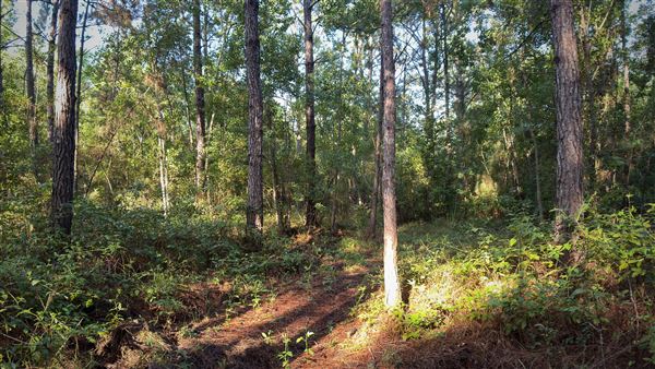 The Oaks of Anahuac (9/12/2025 - Credits: Houston Film Commission)