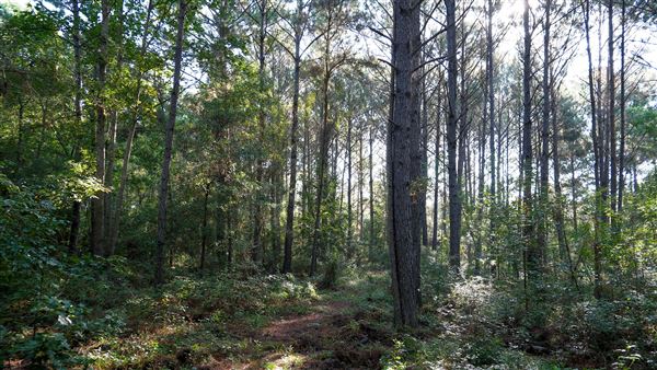 The Oaks of Anahuac (9/12/2025 - Credits: Houston Film Commission)
