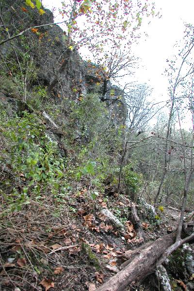 Milton Reimers Ranch County Park (11/29/2004)