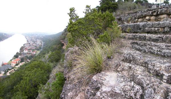 Covert Park at Mt. Bonnell (11/29/2004)