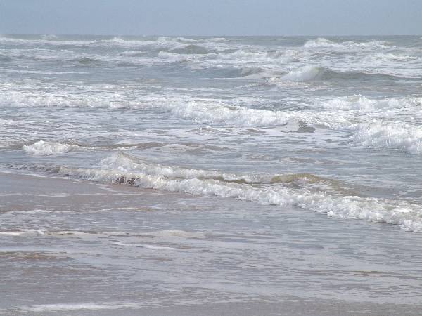 Boca Chica Beach & Dunes (3/2/2005)