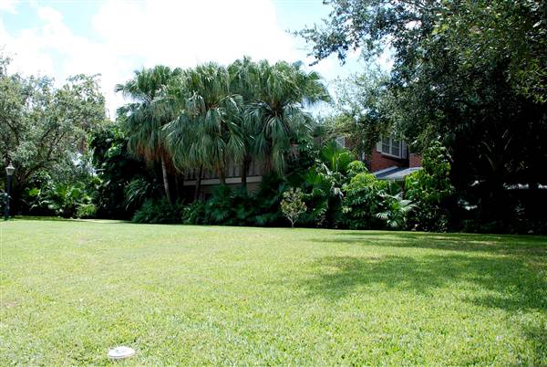 Calle Jacaranda Neighborhood (8/18/2012)