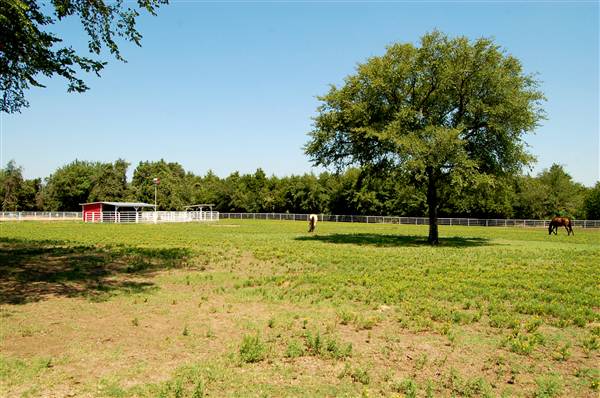 JR Stables (8/22/2012)