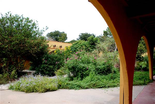 Fiesta Gardens (10/16/2012)