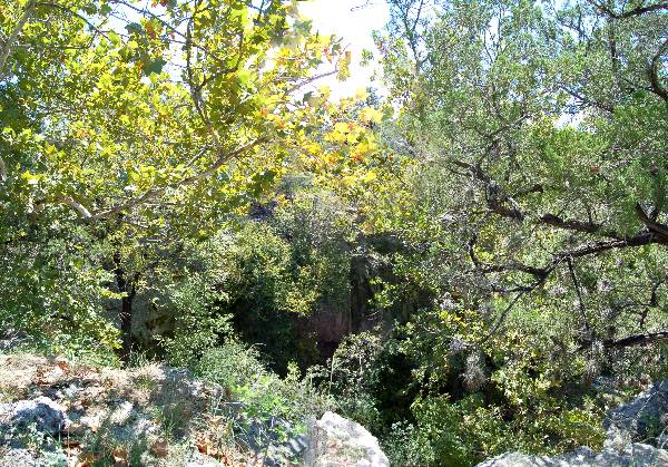 Milton Reimers Ranch County Park (9/21/2006)