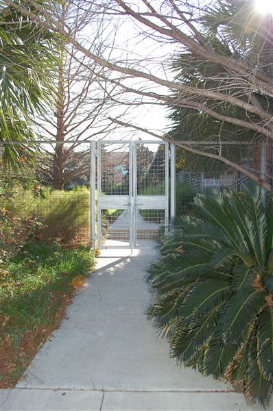 Camp Street Condominiums (2/6/2013)