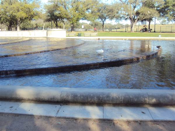 Hermann Park (3/7/2013)
