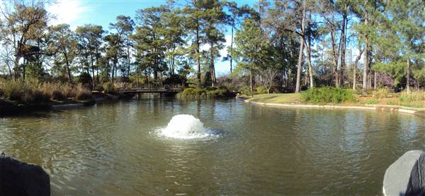 Japanese Garden in Hermann Park (3/7/2013)
