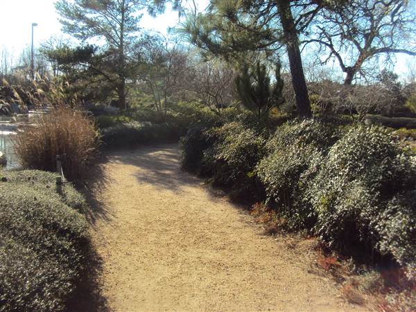 Japanese Garden in Hermann Park (3/7/2013)