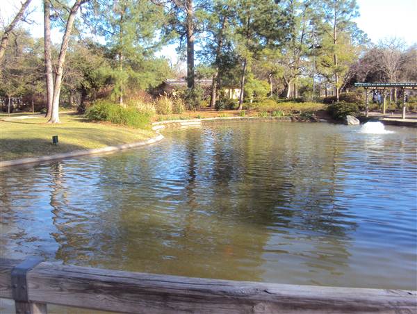 Japanese Garden in Hermann Park (3/7/2013)