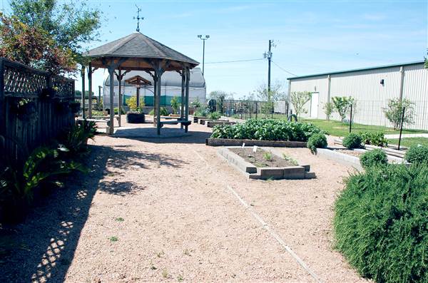 Victoria Educational Gardens (4/4/2013)
