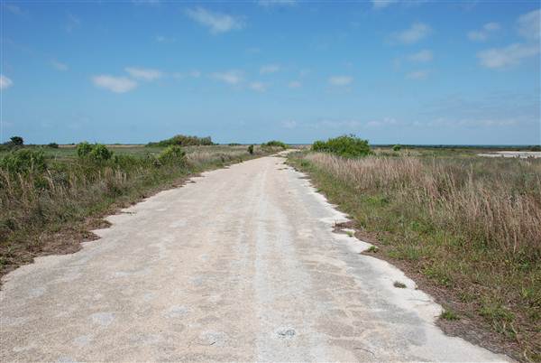 Matagorda Island (4/4/2013)