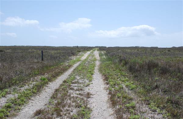 Matagorda Island (4/4/2013)