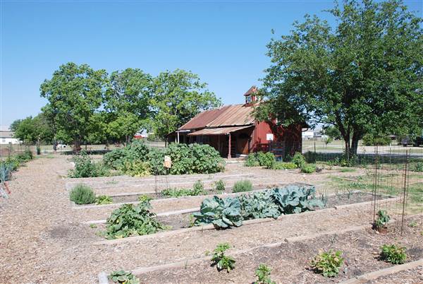 Peterson Community Garden (5/13/2013)