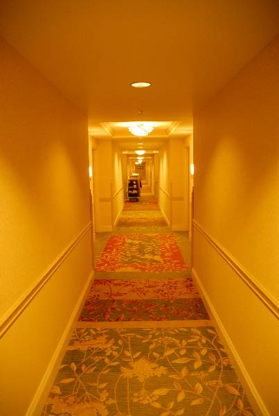 Hyatt Regency Lost Pines Resort & Spa (2/8/2007)
