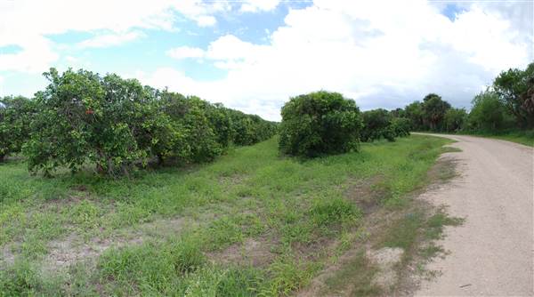 Loop Farms Inc (9/25/2014)