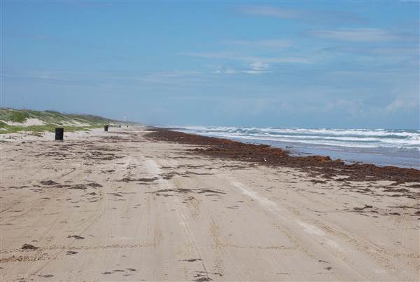 Boca Chica Beach & Dunes (9/25/2014)