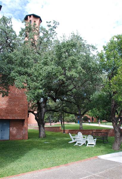 Trinity University (10/22/2014)