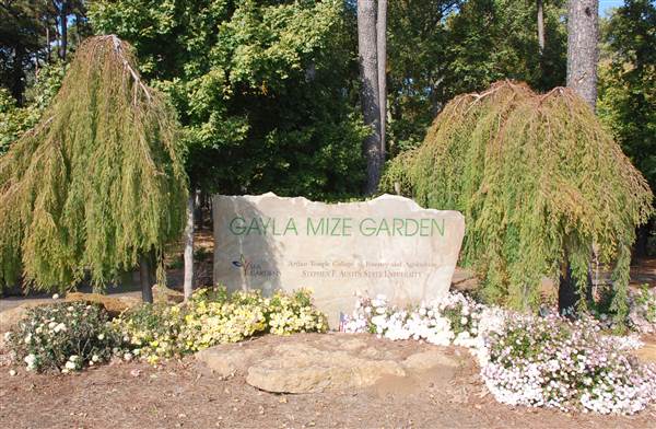 Gayla Mize Garden (11/11/2014)