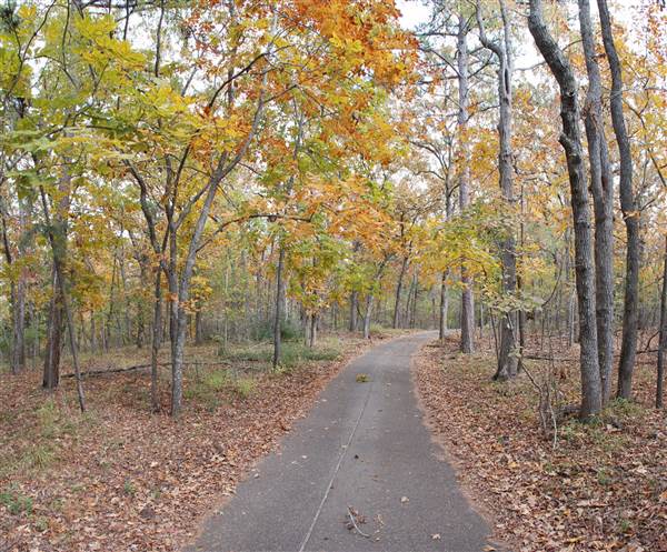 Davey Dogwood Park (11/13/2014)