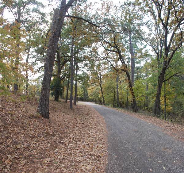 Davey Dogwood Park (11/13/2014)