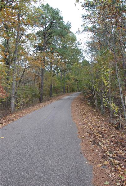 Davey Dogwood Park (11/13/2014)