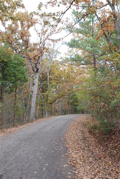 Davey Dogwood Park (11/13/2014)