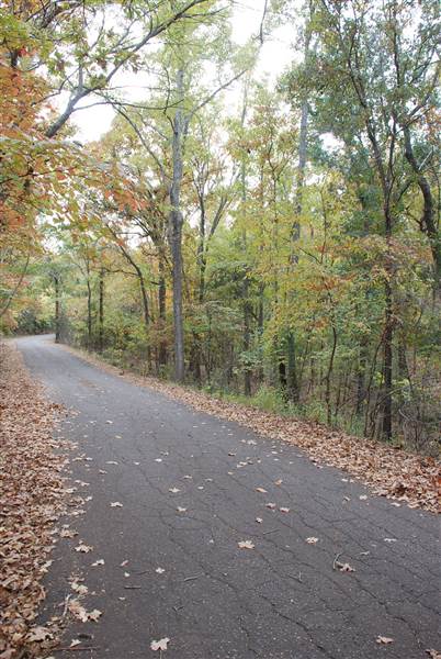 Davey Dogwood Park (11/13/2014)