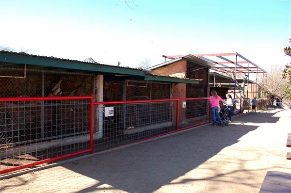 Animal World and Snake Farm (1/19/2015)