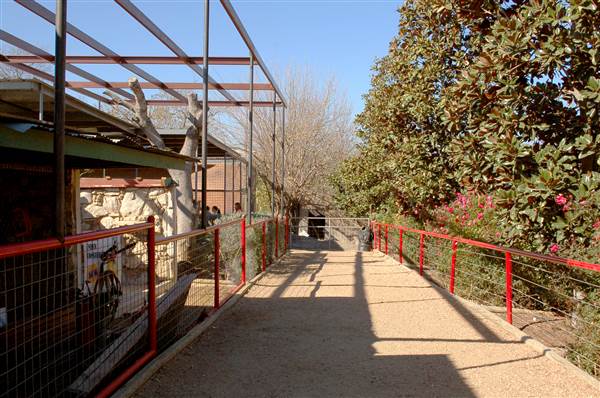 Animal World and Snake Farm (1/19/2015)
