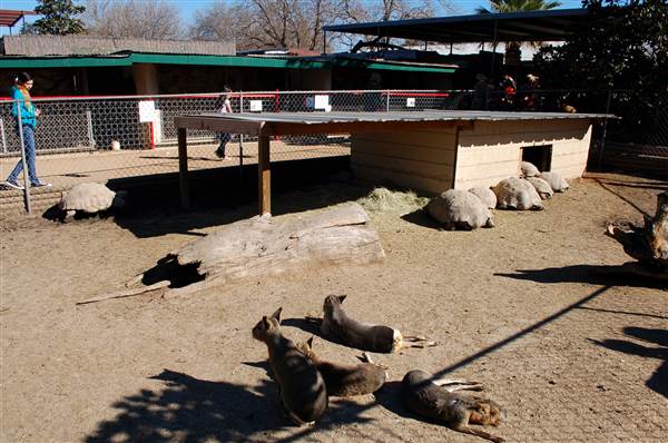 Animal World and Snake Farm (1/19/2015)