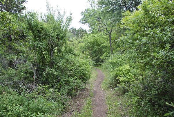 Cedar Hill State Park (4/13/2015)