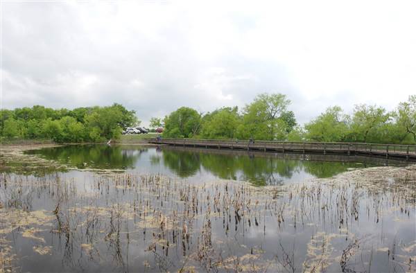 Cedar Hill State Park (4/13/2015)