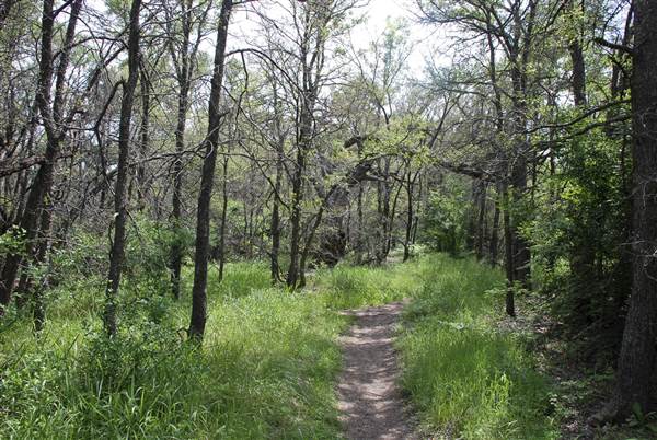 Cedar Hill State Park - Talala Trail (4/15/2015)